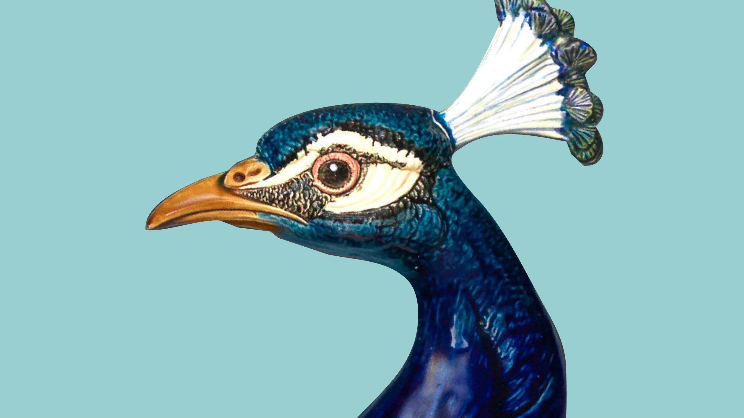 detail photo of ceramic peacock head against teal background
