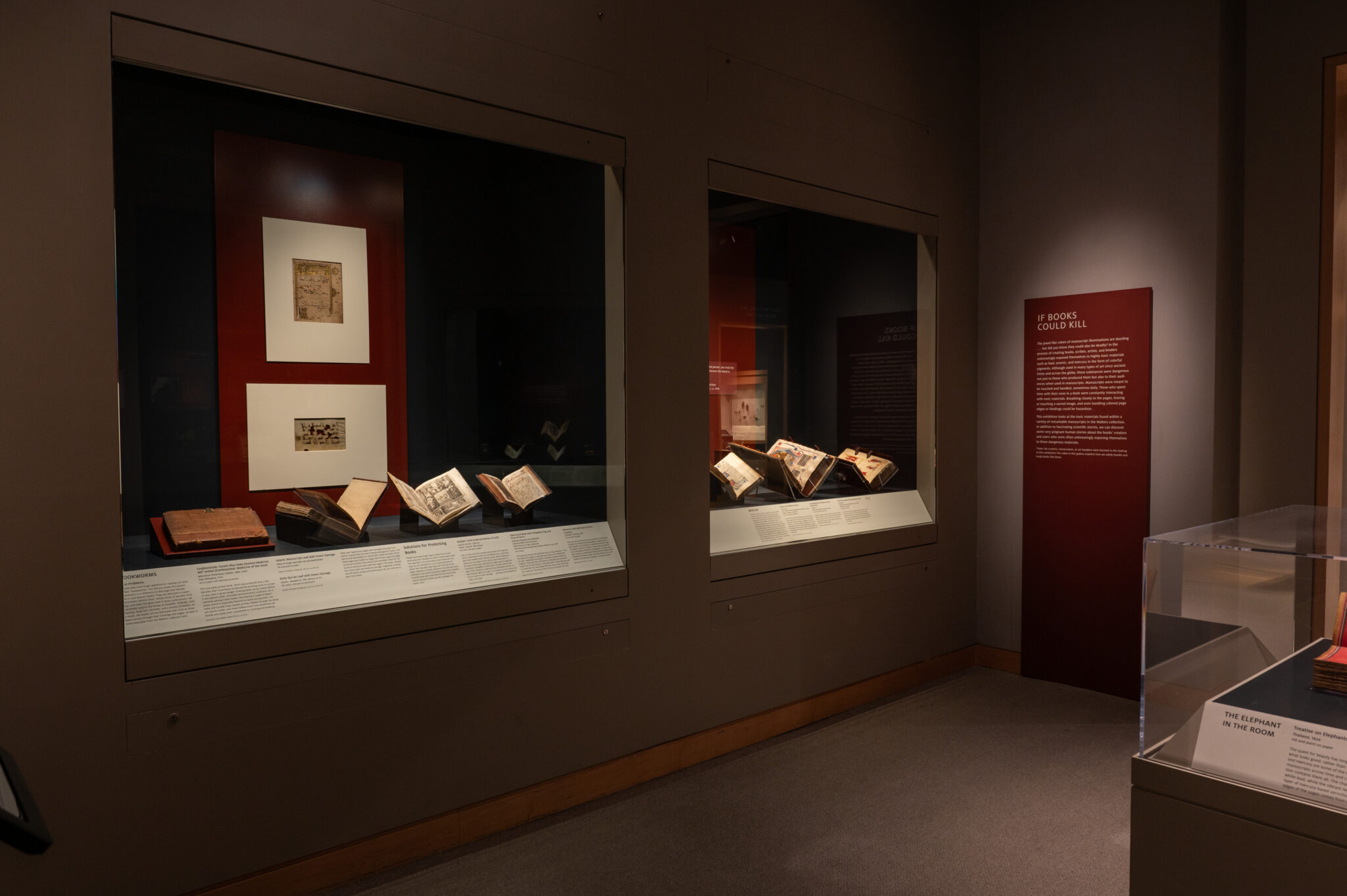manuscript gallery installation with if books could kill