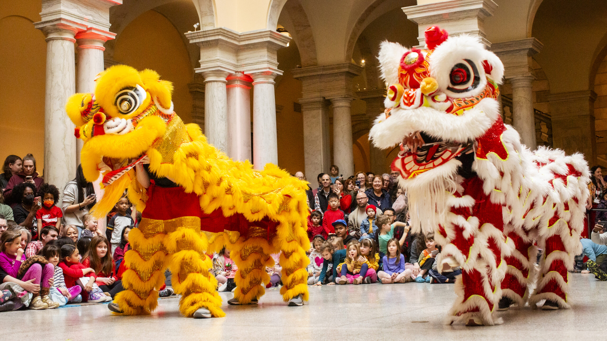 colorful dancing dragons