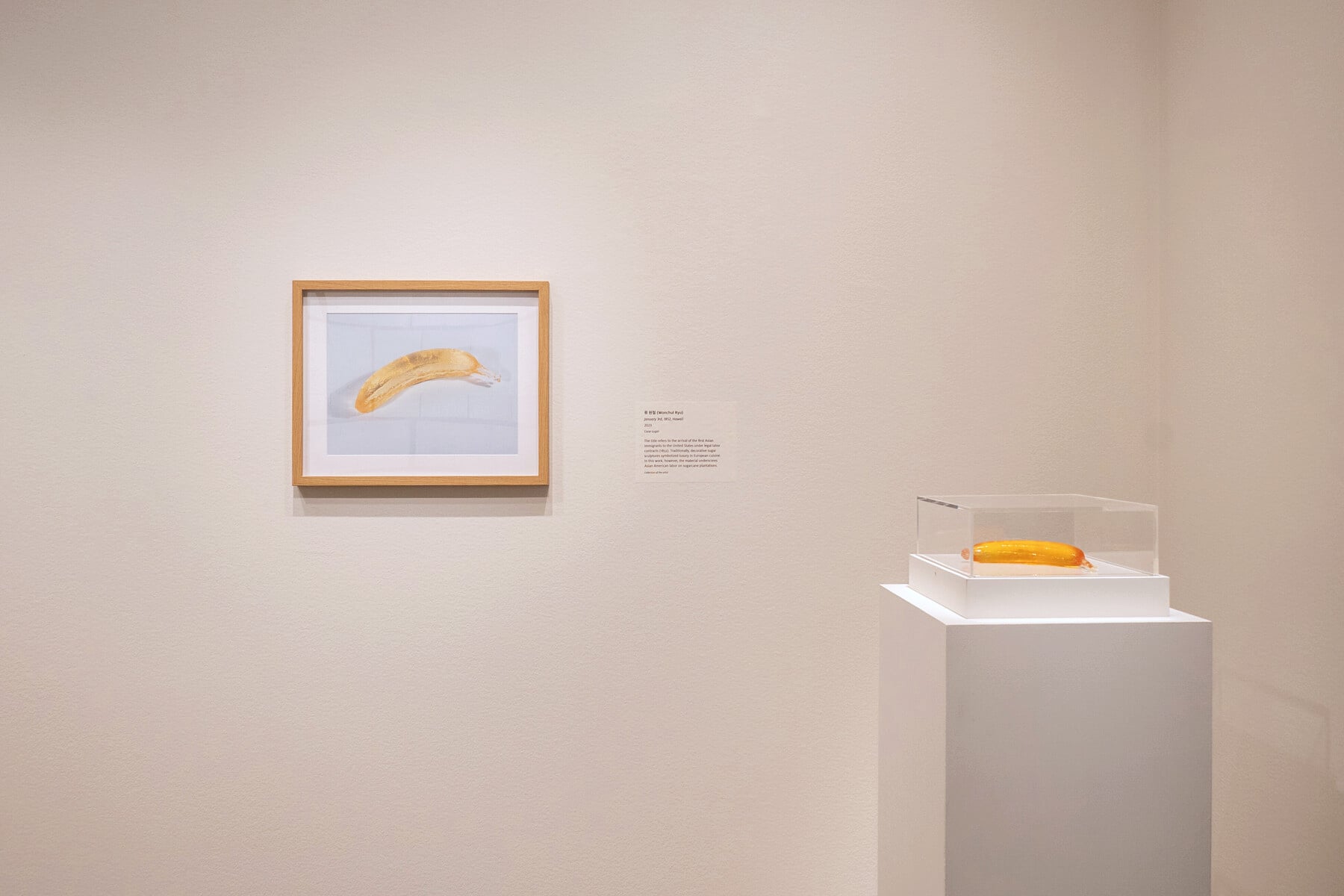 View of gallery with multiple pieces of artwork by Wonchul Ryu