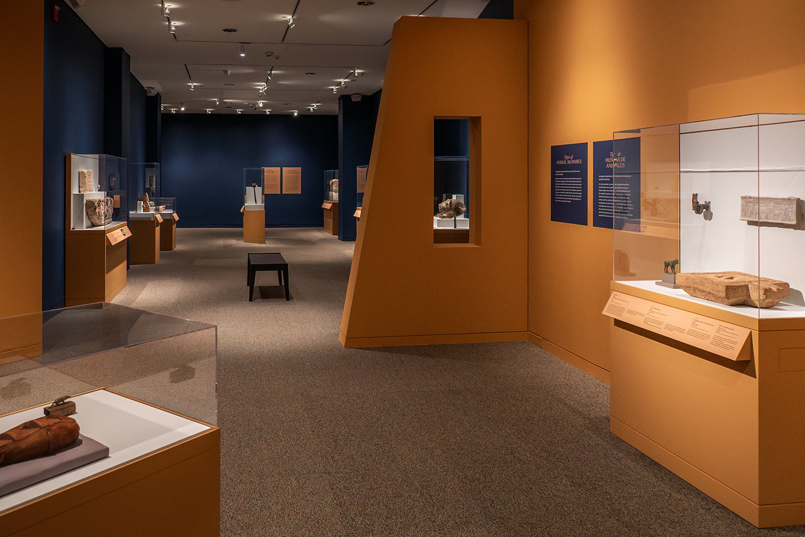 Gallery view of Soulful Creatures showing art objects in cases