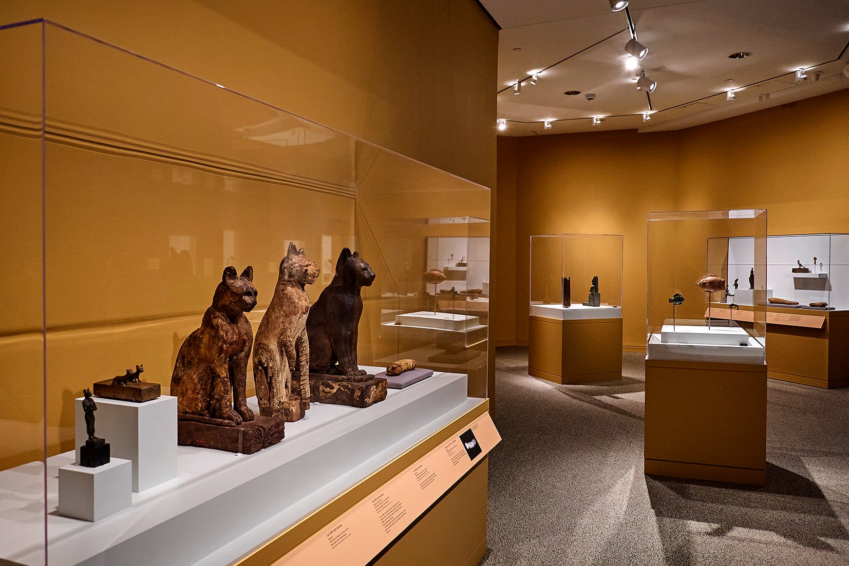 View of a case in Soulful Creatures showing several cat figures