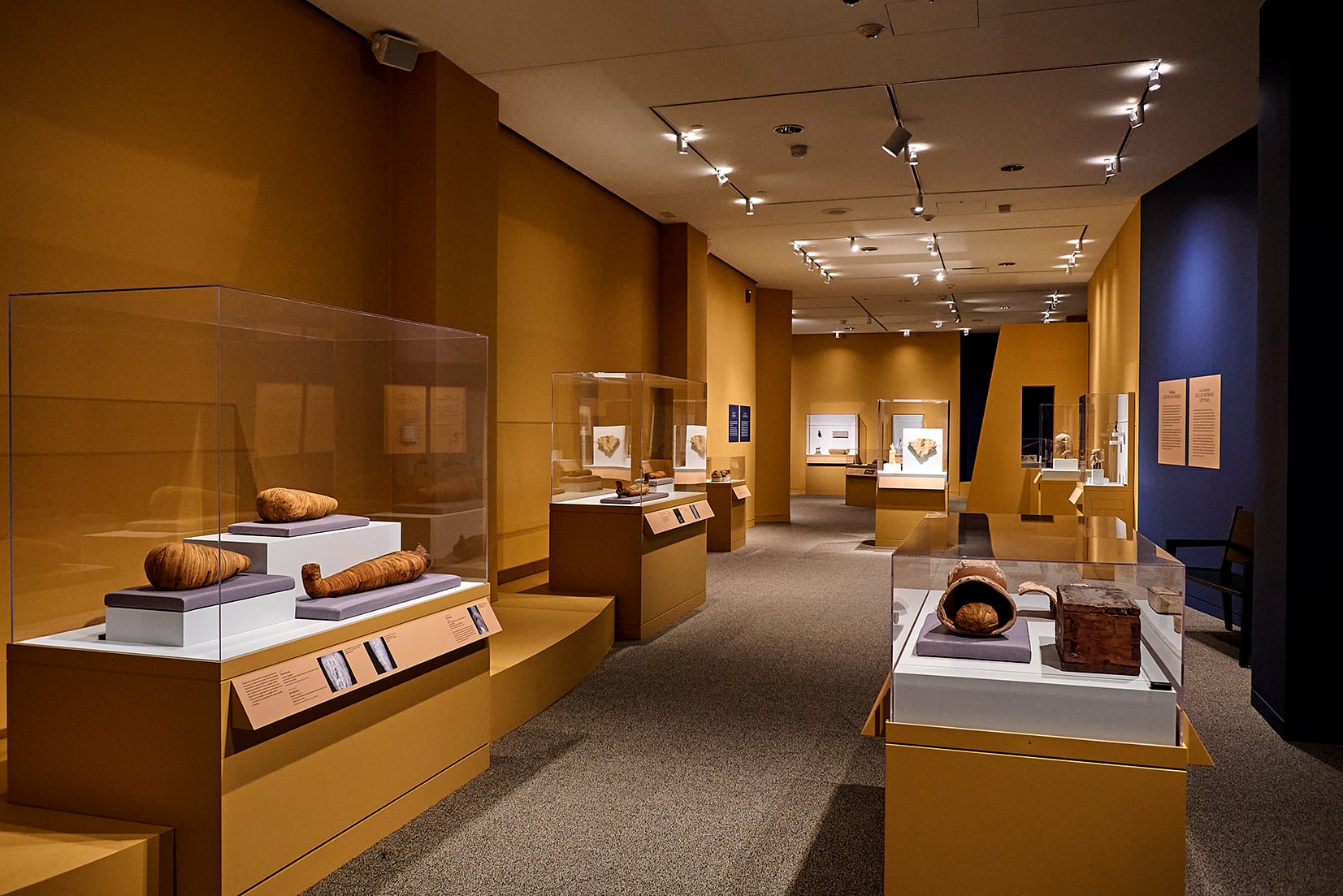 Gallery view of Soulful Creatures showing art objects in cases
