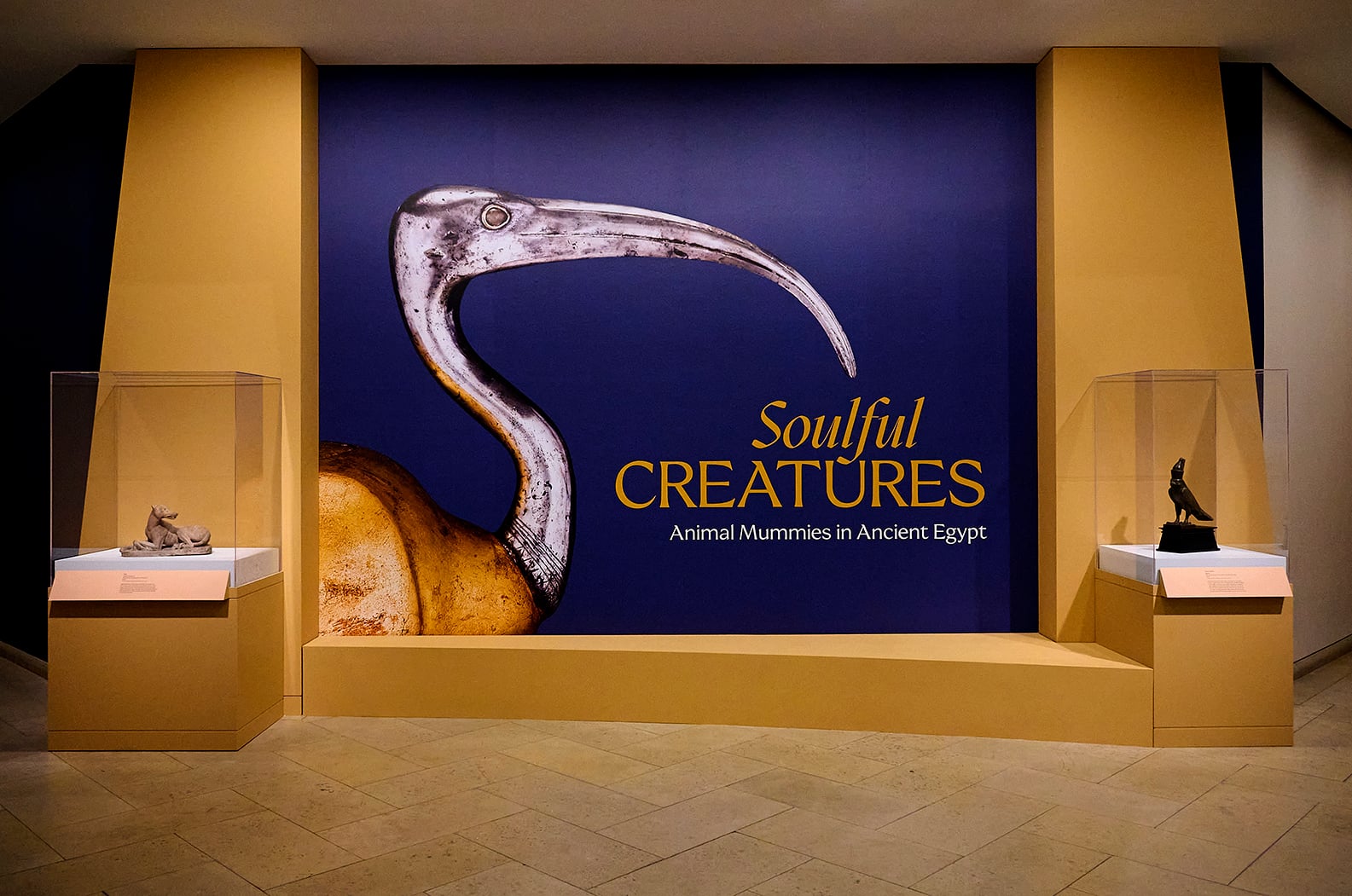 Title wall for Soulful Creatures: Animal Mummies in Ancient Egypt