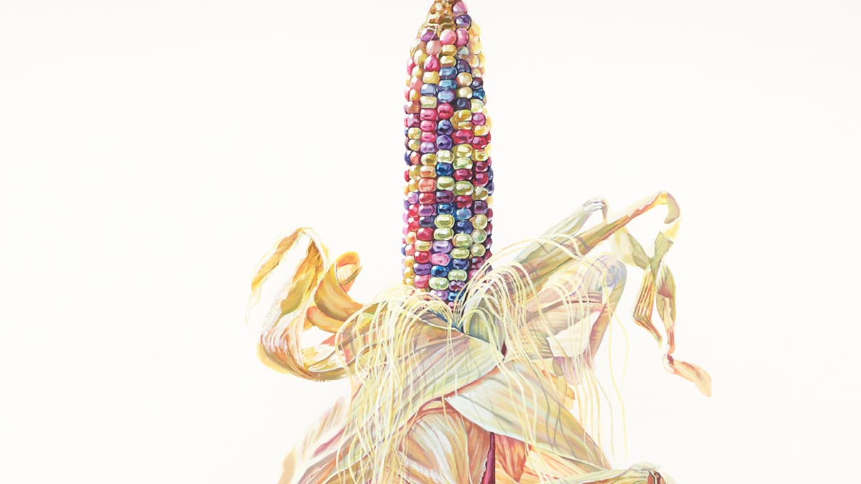 painting Cintli, Corn, Maíz on view in Latin American Art / Arte Latinoamericano.