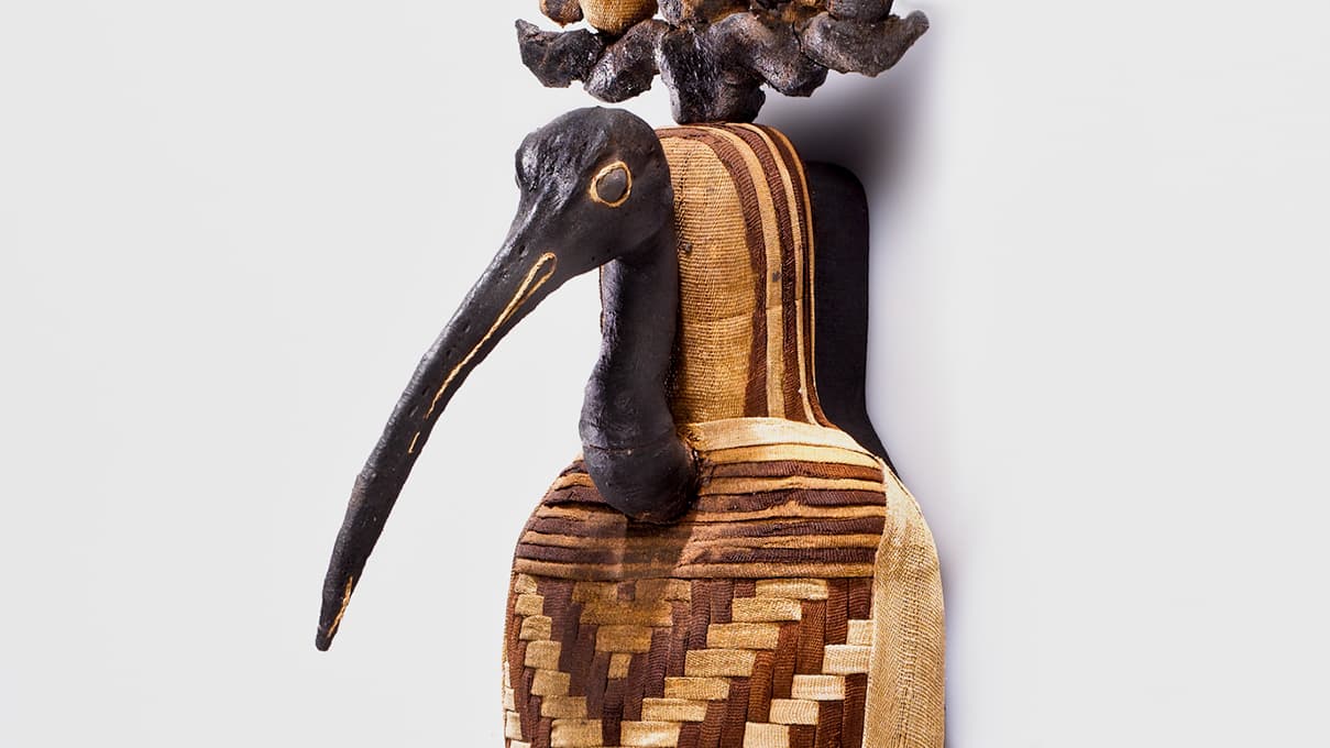 ancient Egyptian animal mummy