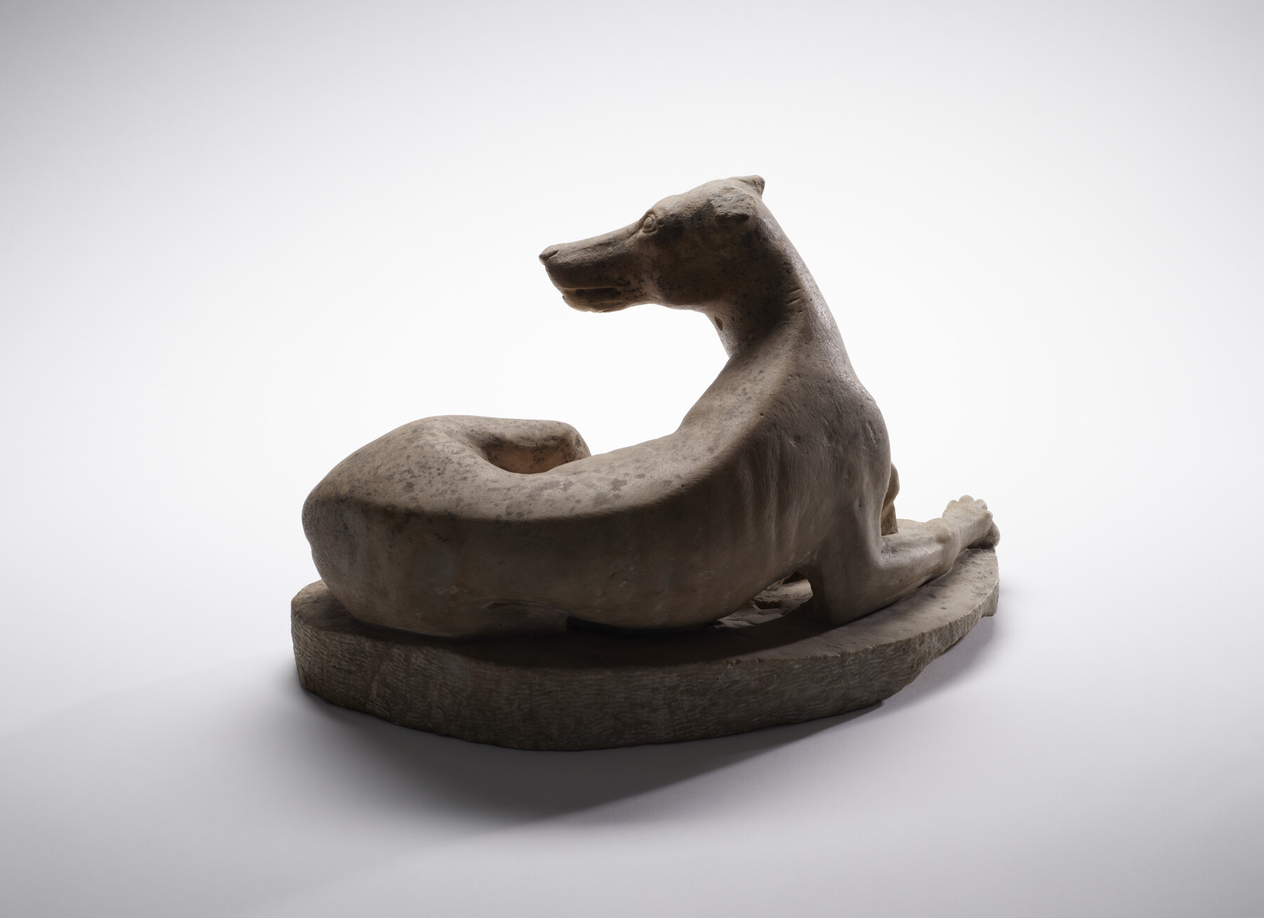 Dog, Egypt, 1st century BCE–4th century CE.