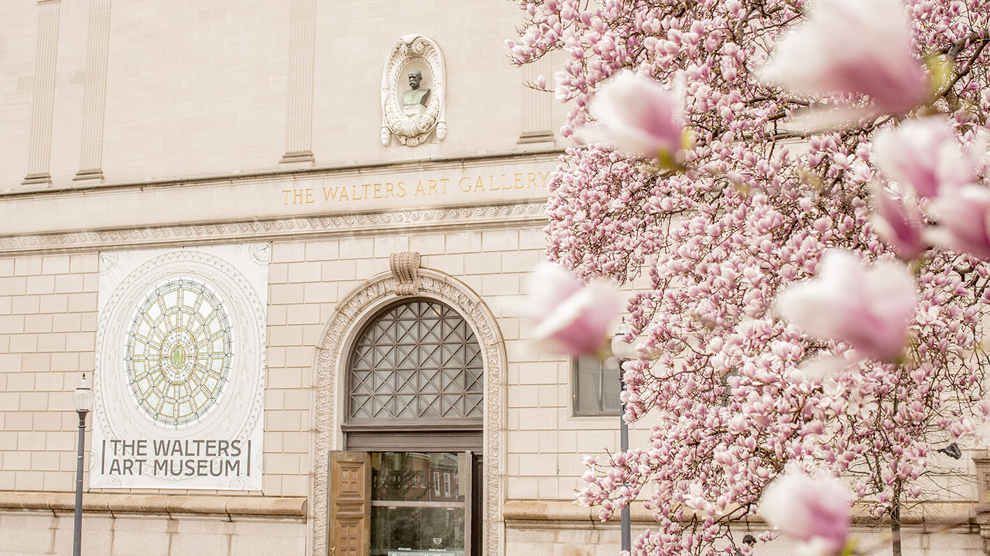 Exterior of the Charles Street entrance with magnolia trees in bloom